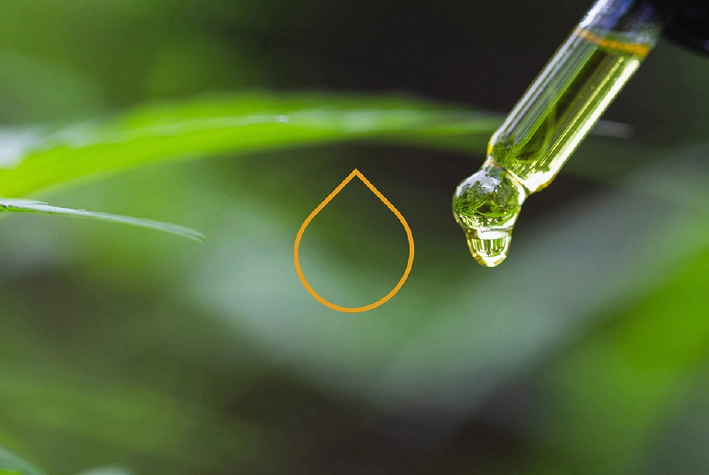Hemprove branding
